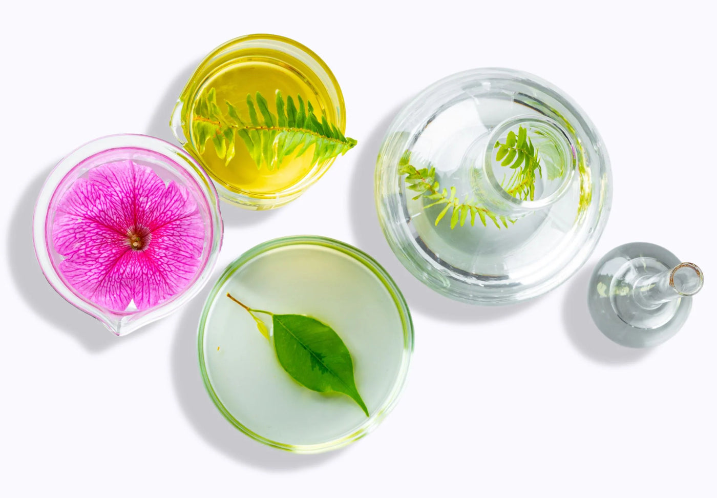 Copy of many good for you ingredients website