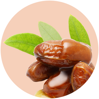 Jojoba-esters