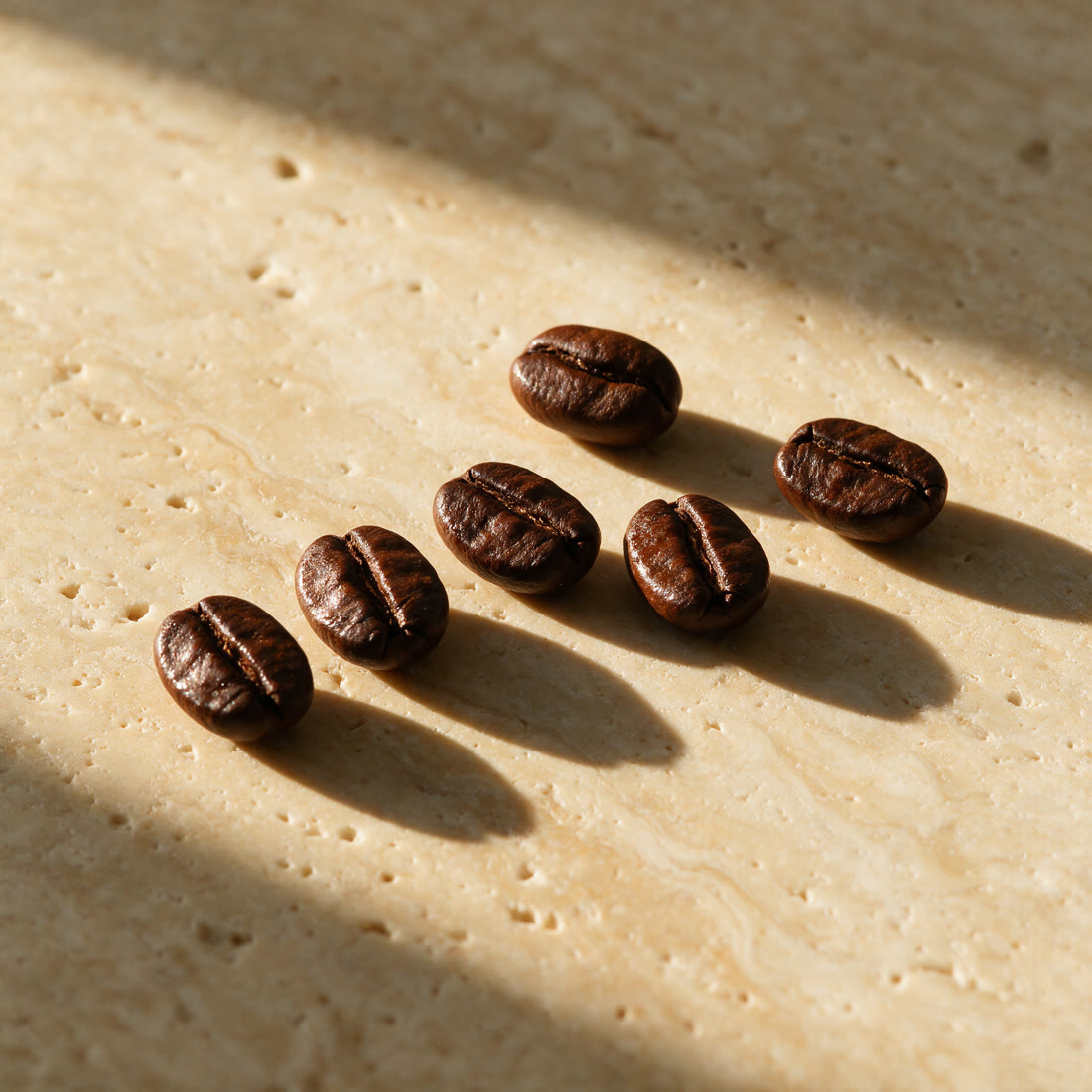 Des grains de café alignés, projetant de longues ombres